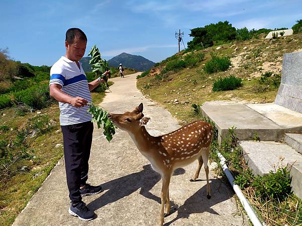 20馬祖北竿大坵島.jpg