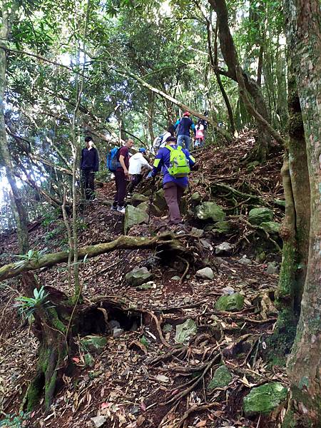 鳶嘴山10.jpg