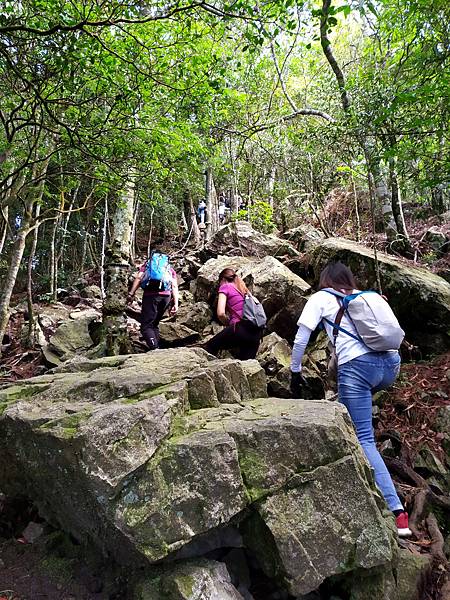 鳶嘴山14.jpg