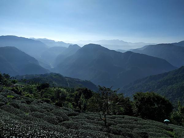 58雲林古坑後棟仔山.jpg