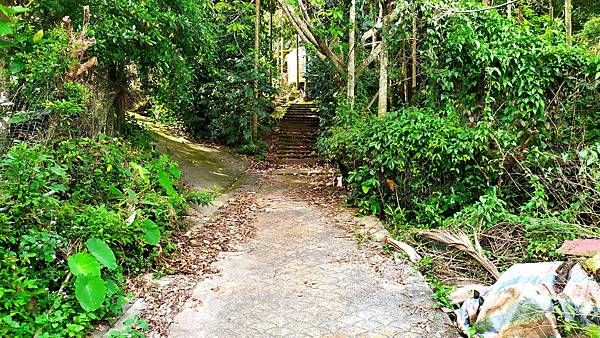 80雲林古坑後棟仔山.jpg