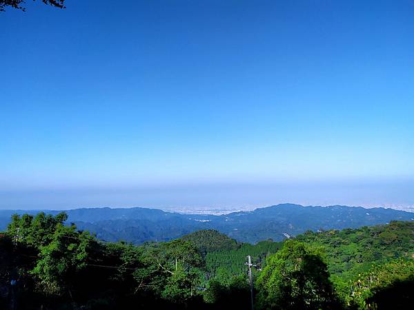 39台中太平酒桶山法蝶休閒農場.jpg