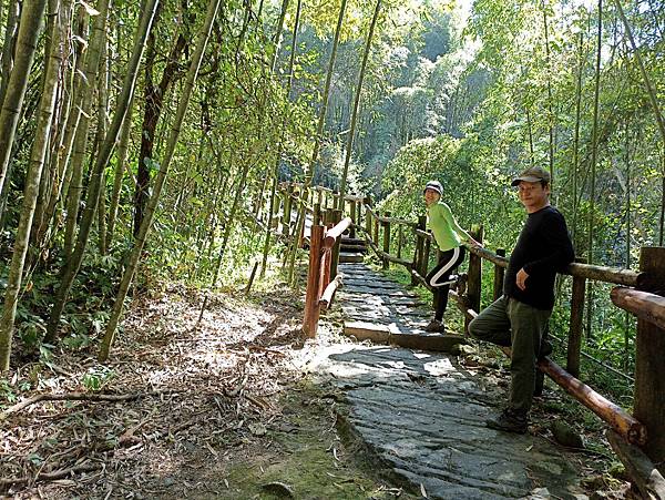 42嘉義阿里山迷糊步道.jpg