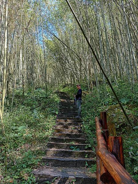 46嘉義阿里山迷糊步道.jpg