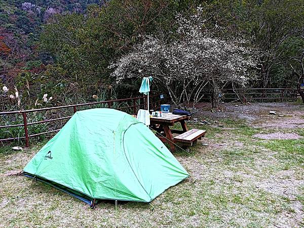 1花蓮太魯閣綠水野營地.jpg