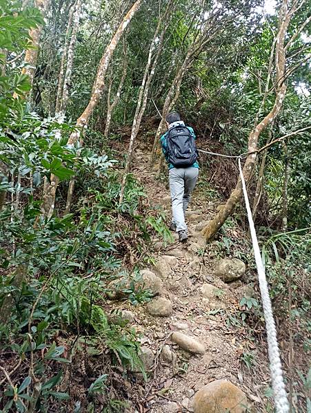 33大坑四號步道~黑山北峰.jpg