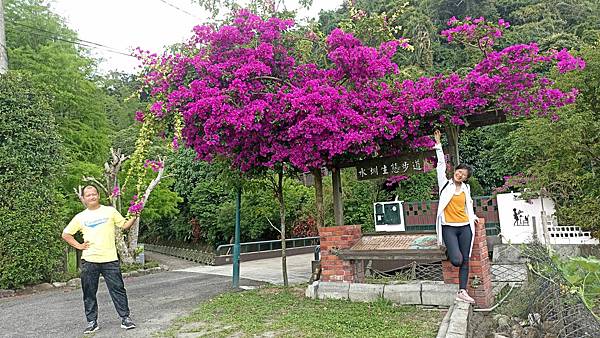 2宜蘭員山水圳生態步道.jpg