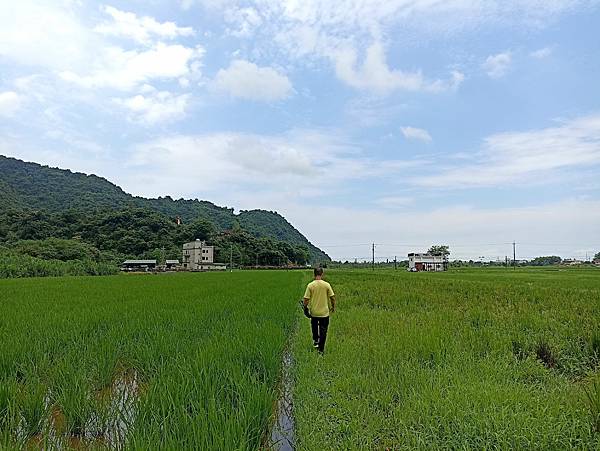 19宜蘭員山水圳生態步道.jpg