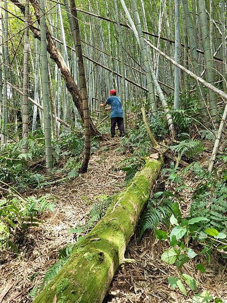 32新北三峽快樂農場.jpg