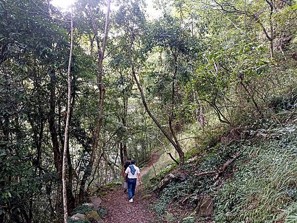 32台中和平環山部落獵人步道.jpg