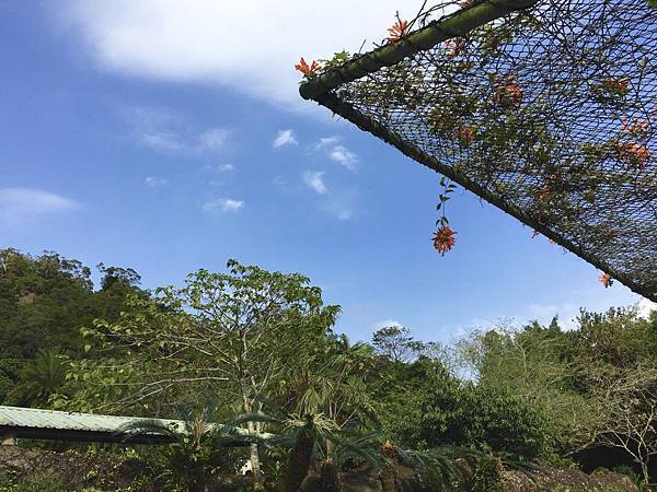 thumb_IMG_4674_1024 thumb_IMG_4674_1024