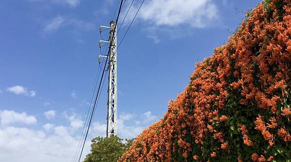 thumb_IMG_5074_1024 thumb_IMG_5074_1024