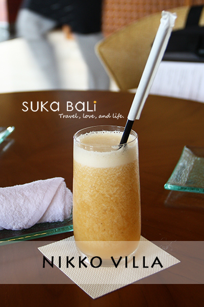 nikko-villa nikko-villa