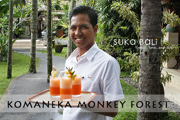 komakena-monkey-forest komakena-monkey-forest