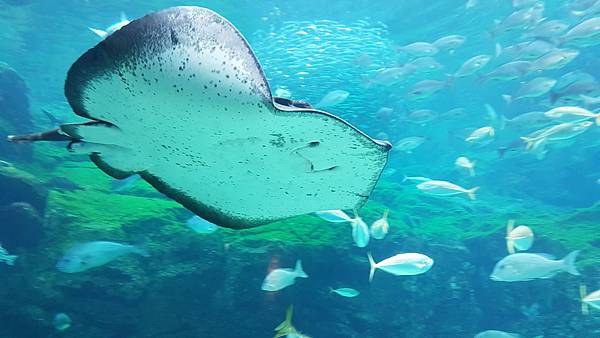 20190629_120837.jpg 20190629_120837.jpg