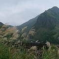 認真的我們前兩天還去勘景~