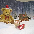 081228 teddy 019.jpg