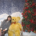 081228 teddy 041.jpg