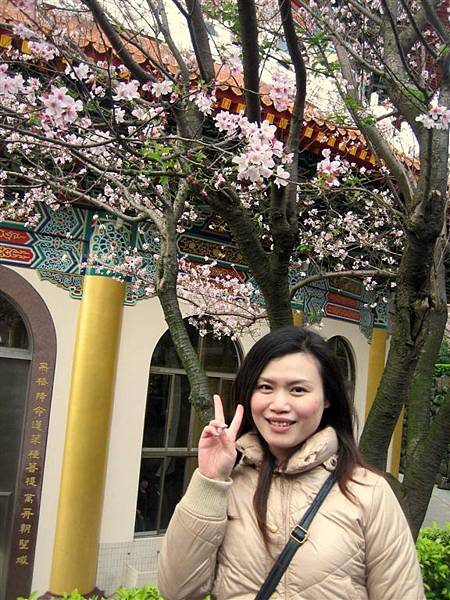 天元宮賞櫻 037.jpg