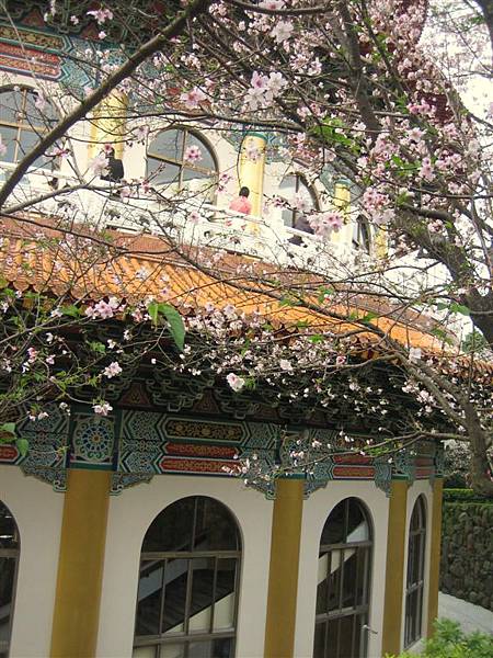 天元宮賞櫻 044.jpg
