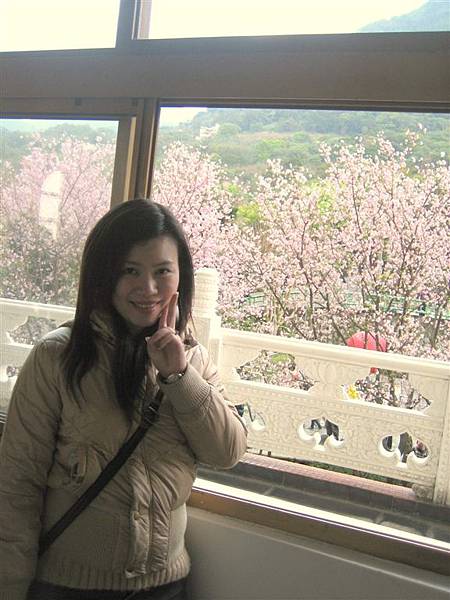 天元宮賞櫻 119.jpg