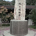 IMG_6434.jpg