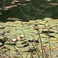 IMG_6438.jpg