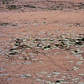 IMG_6439.jpg