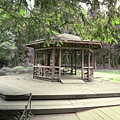 IMG_6440.jpg