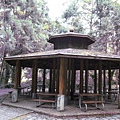IMG_6447.jpg