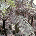 IMG_6448.jpg