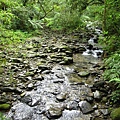 IMG_6451.jpg