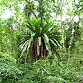 IMG_6453.jpg