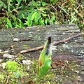 IMG_6454.jpg