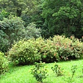 IMG_6455.jpg