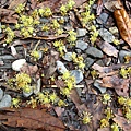 IMG_6456.jpg