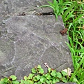 IMG_6457.jpg
