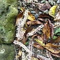 IMG_6458.jpg