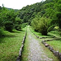 IMG_6460.jpg