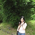 IMG_6469.jpg