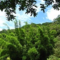 IMG_6471.jpg
