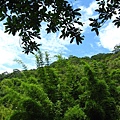 IMG_6472.jpg