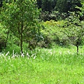 IMG_6475.jpg