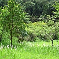 IMG_6476.jpg