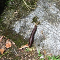 IMG_6477.jpg