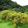 IMG_6478.jpg