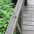 IMG_6503.jpg