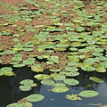 IMG_6510.jpg