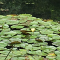 IMG_6511.jpg