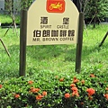 IMG_6539.jpg